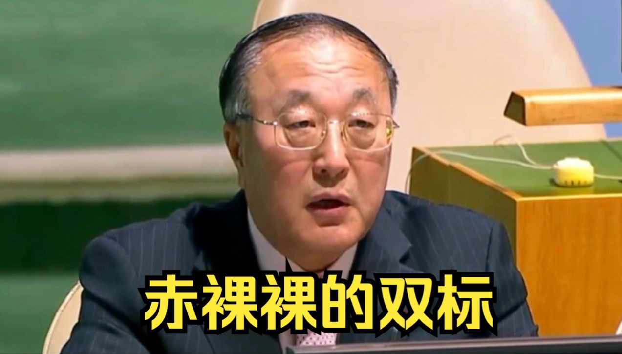 中方代表狠批：一些人彻头彻尾的虚伪性