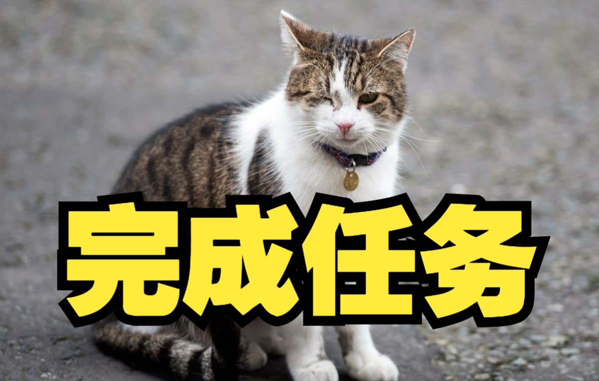 英国第一猫回应约翰逊将辞职：完成任务，不用谢我
