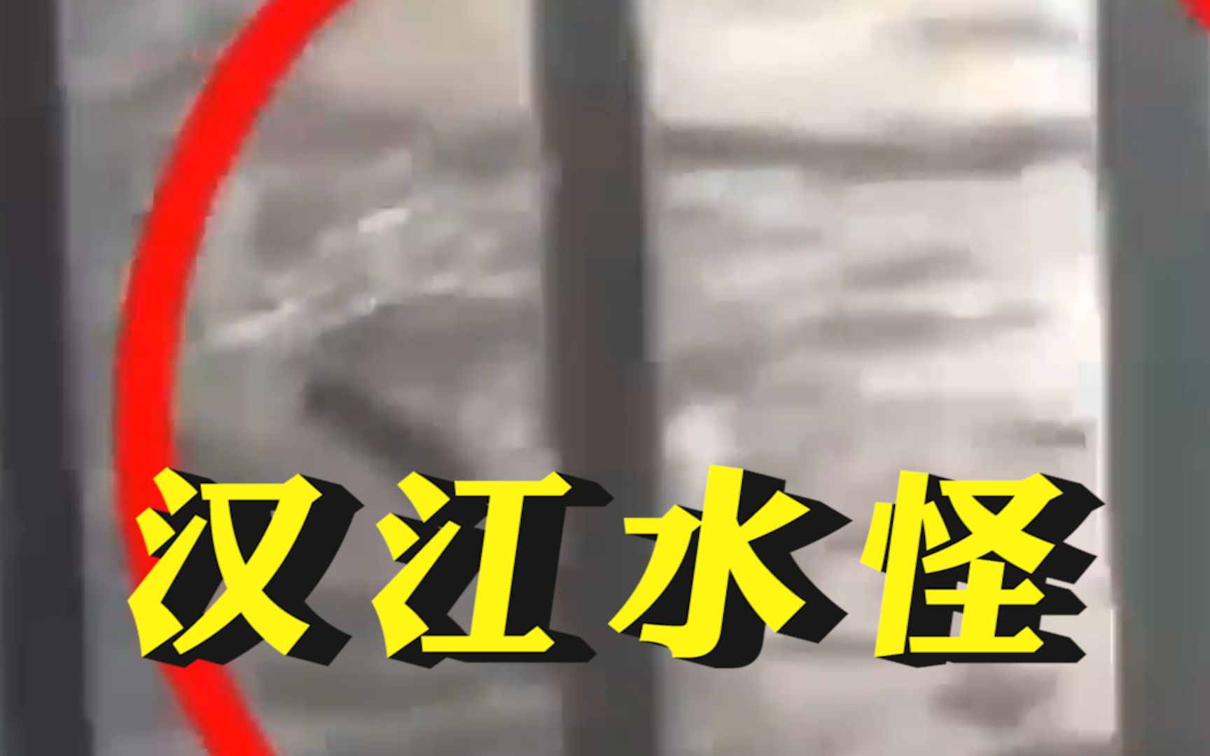 韩国民众在汉江拍到水怪：长达10米 游泳灵活自如
