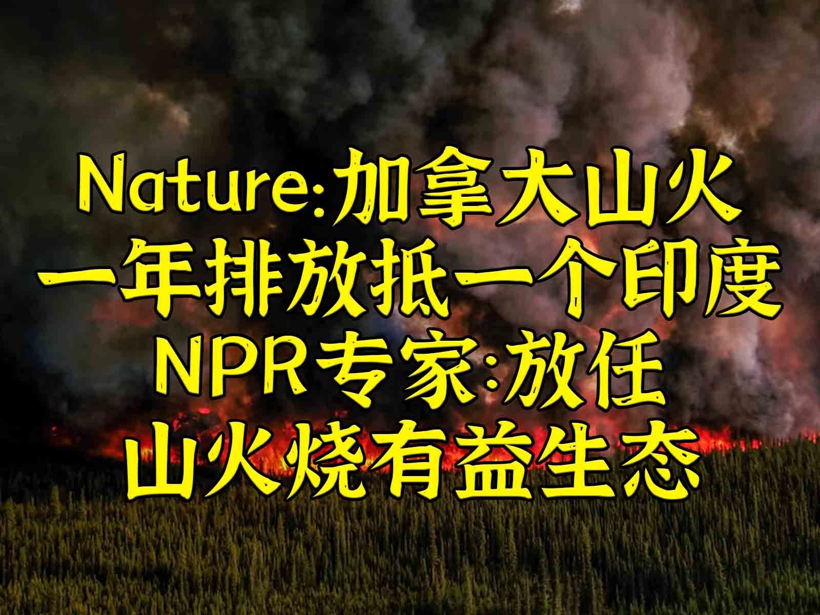 Nature：加山火年排放抵印度 NPR：放任山火有益环境