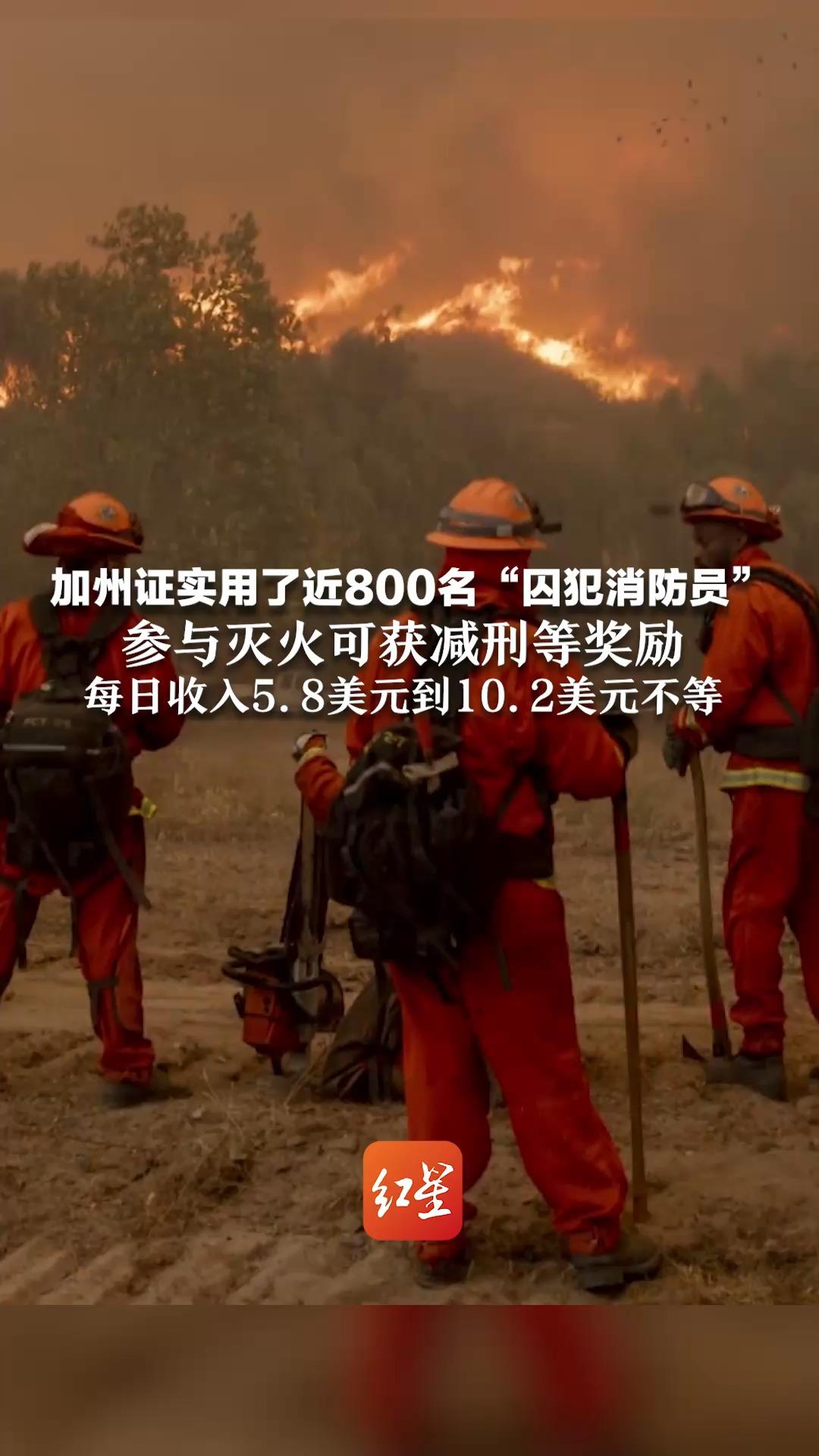 加州证实用了近800名“囚犯消防员” 参与灭火可获减刑等奖励 每日收入5.8美元到10.2美元不等