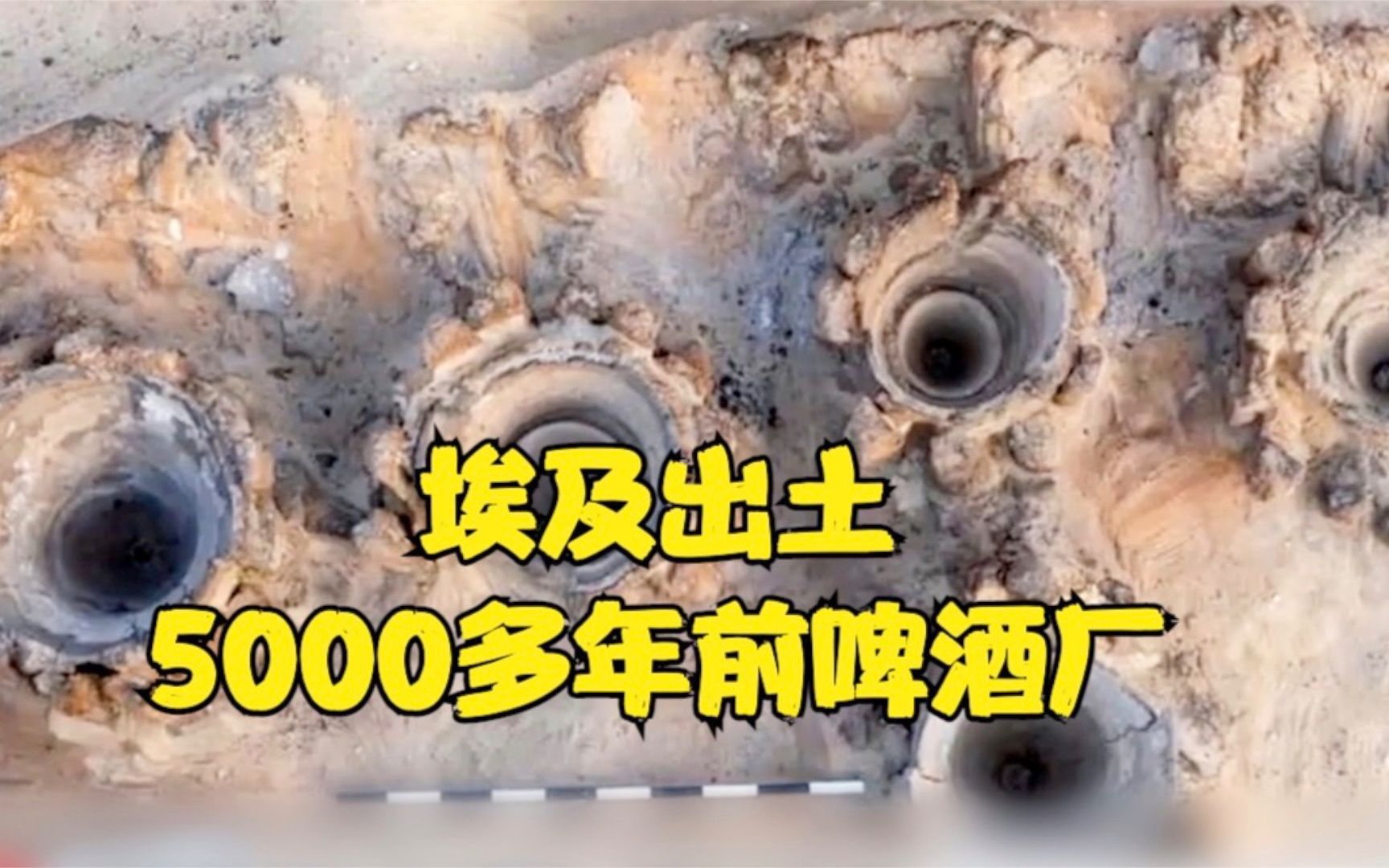 埃及出土一座5000多年前啤酒厂 一次可酿造2.24万升