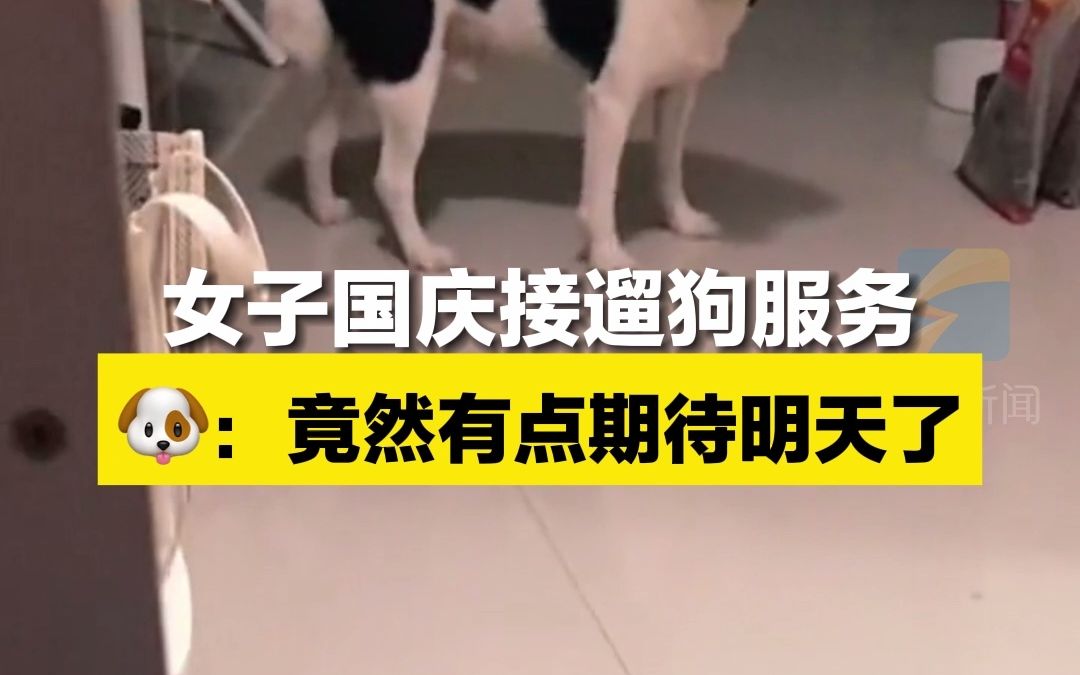 女子国庆接遛狗服务 ：竟然有点期待明天了