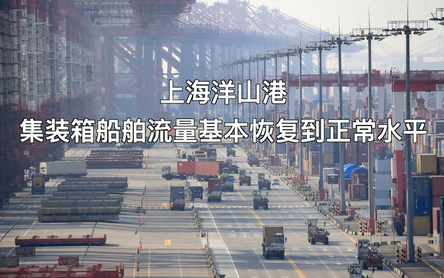 上海洋山港集装箱船舶流量基本恢复到疫情前正常水平