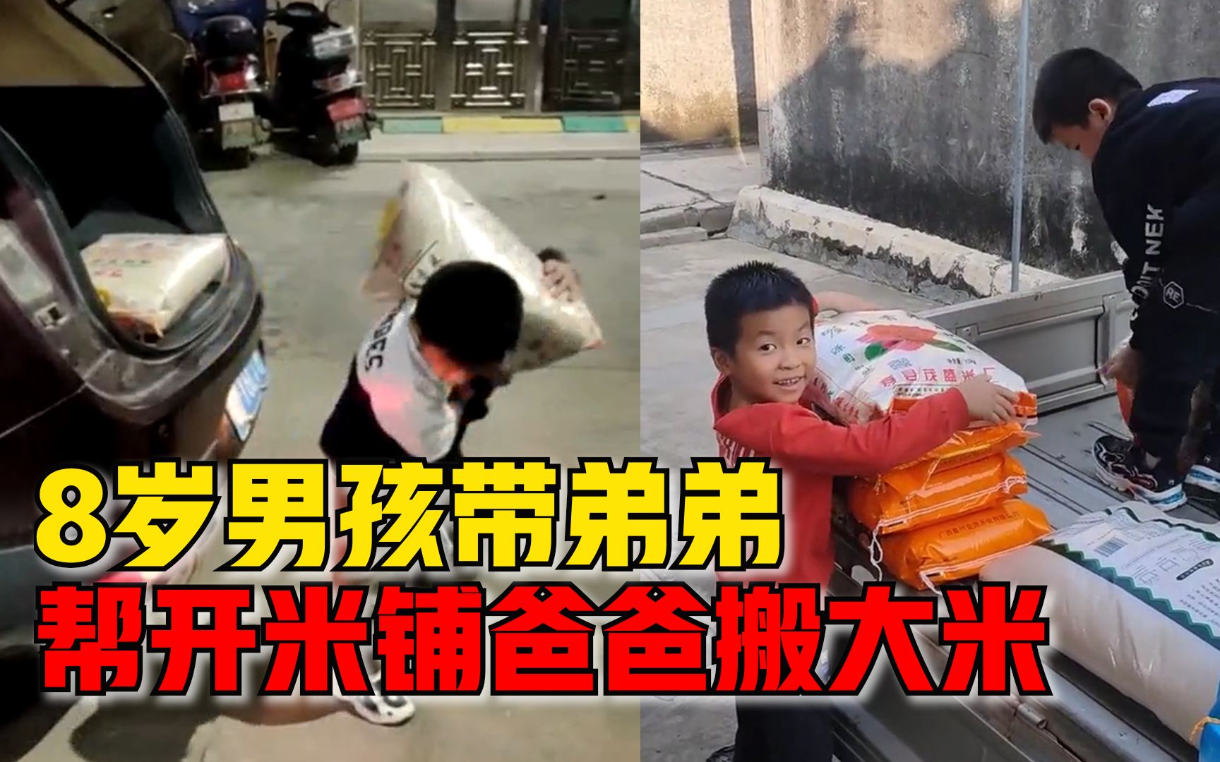 8岁男孩带弟弟帮爸爸搬大米，爸爸：家里开米铺，他们从小喜欢搬