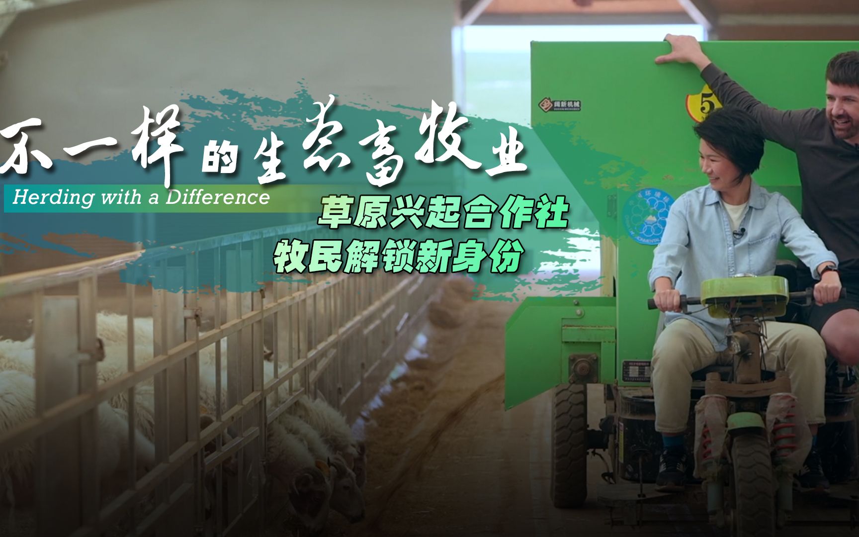 精彩继续！不一样的生态畜牧业（下）：草原兴起合作社，牧民解锁新身份