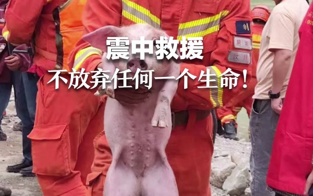 震中救援，不放弃任何一个生命！