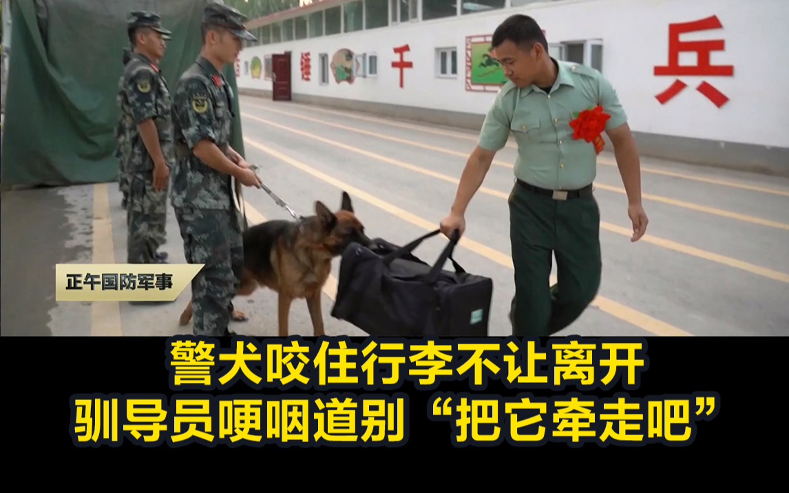 警犬咬住行李不让离开，驯导员哽咽道别“把它牵走吧”