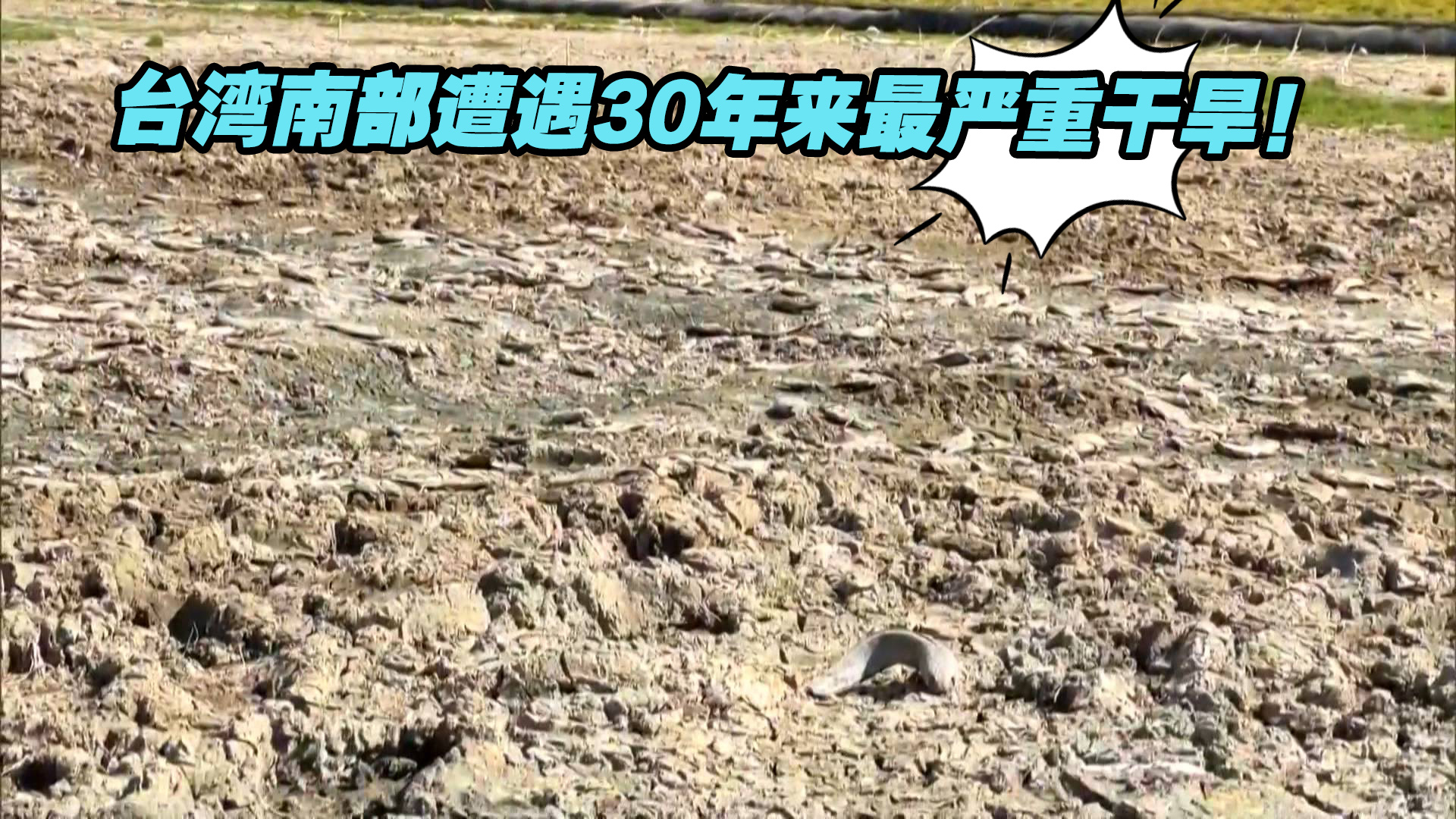台湾南部遭遇30年来最严重干旱！