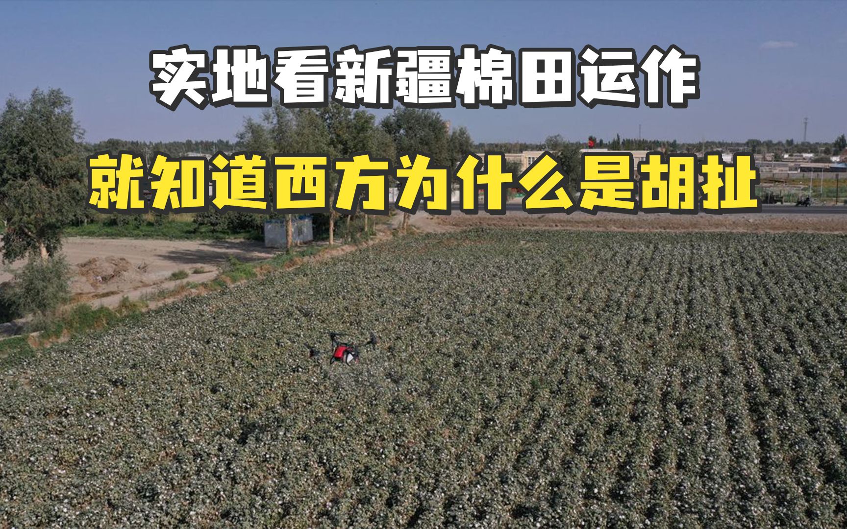 实地看新疆棉田运作，就知道西方为什么是胡扯