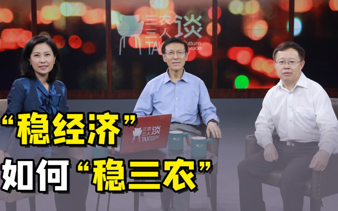 三农三人谈丨“稳经济”如何“稳三农”