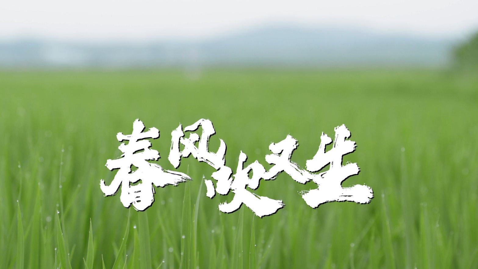 《田野之上》导演手记 | 相信的力量