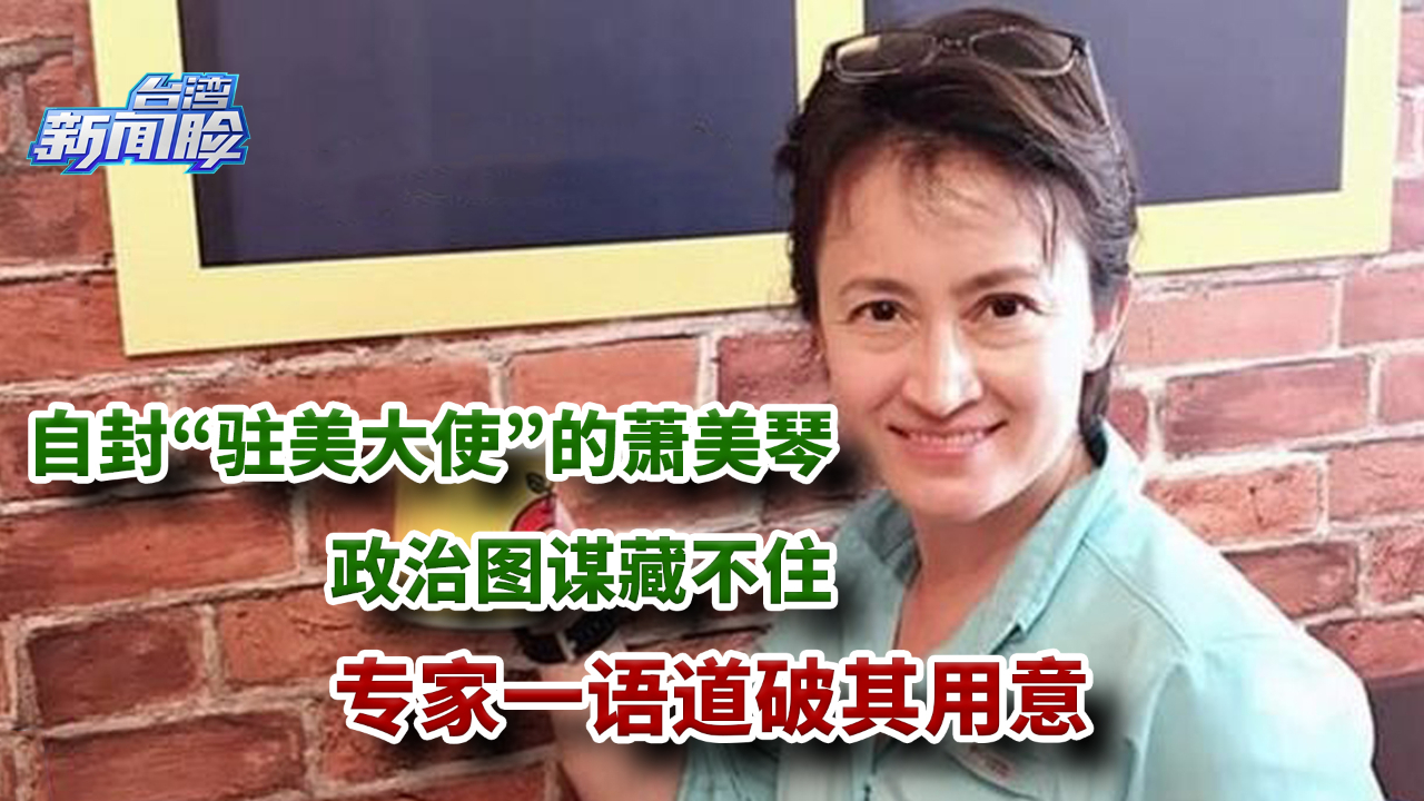 自封“驻美大使”的萧美琴政治图谋藏不住，专家一语道破其用意
