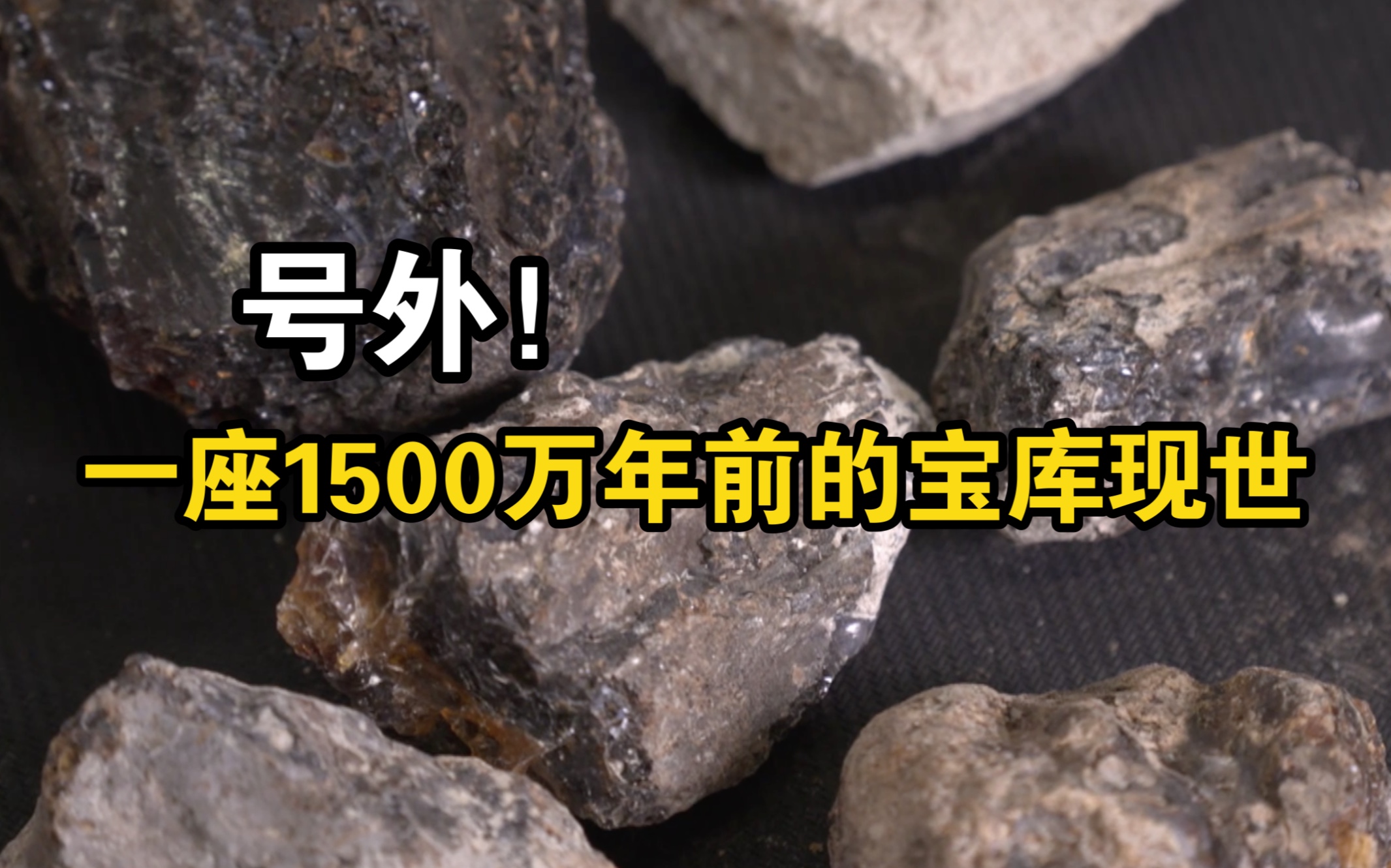 号外！一座1500万年前的宝库现世