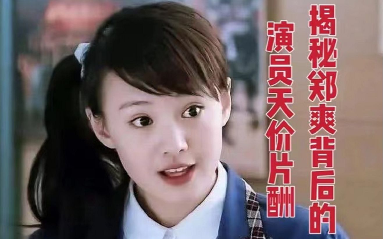 1.6亿超过9成影视公司利润？汪海林揭秘郑爽背后的演员天价片酬