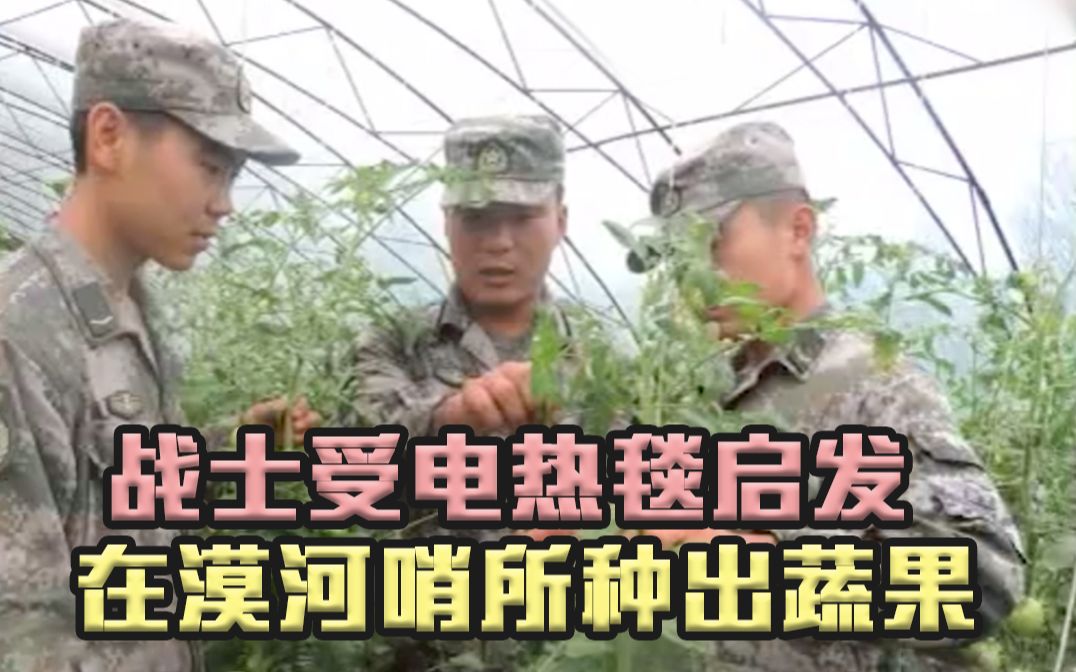 战士受电热毯启发在漠河哨所种出蔬果