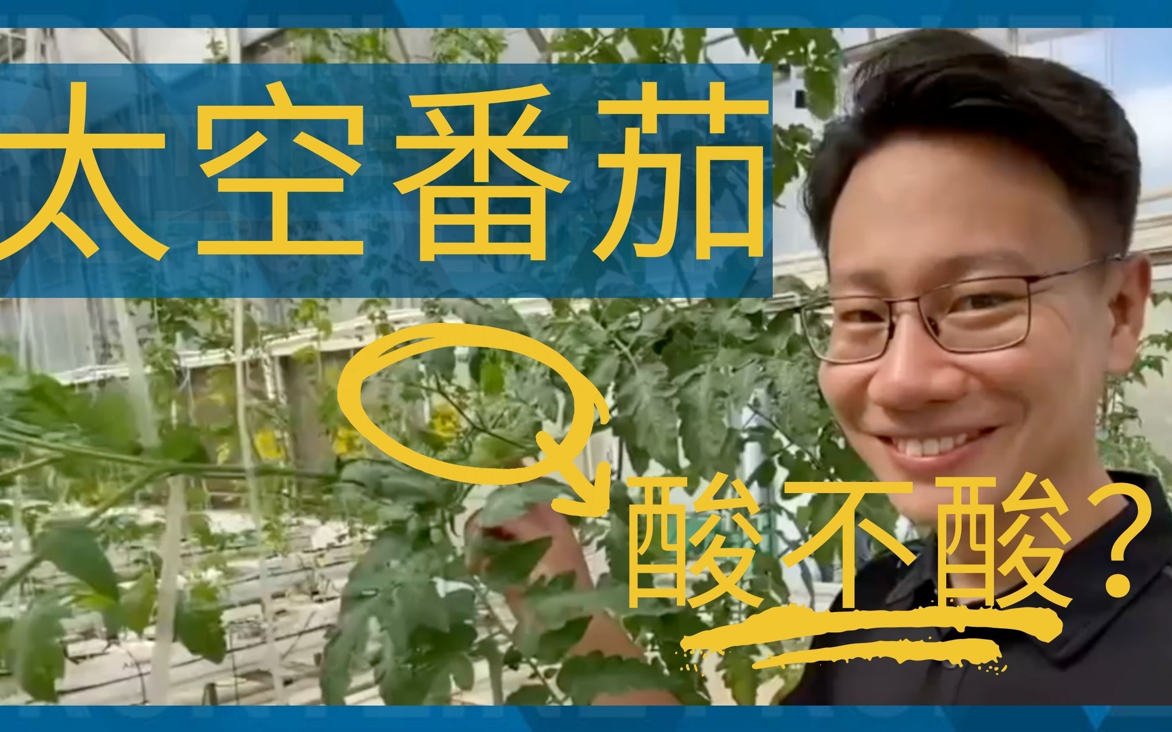 VLOG：吃了太空番茄会怎么样？