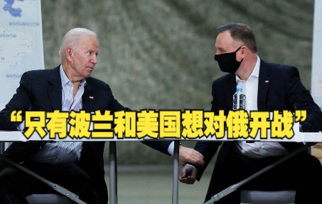 美国前防长高级顾问：只有波兰和美国想对俄开战