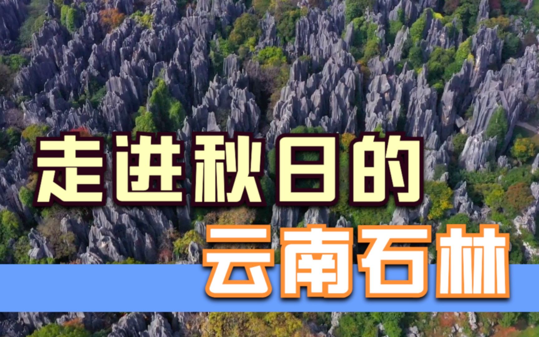 山水中国·秋 | 走进秋日的云南石林 感受石峰间的奇秀风景