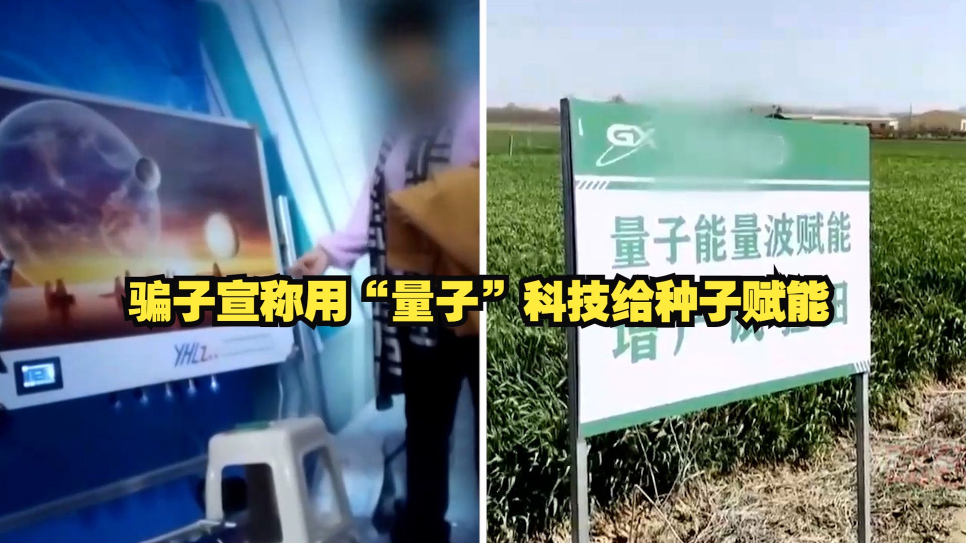 骗农民良心不会痛吗？骗子宣称用“量子”科技给种子赋能