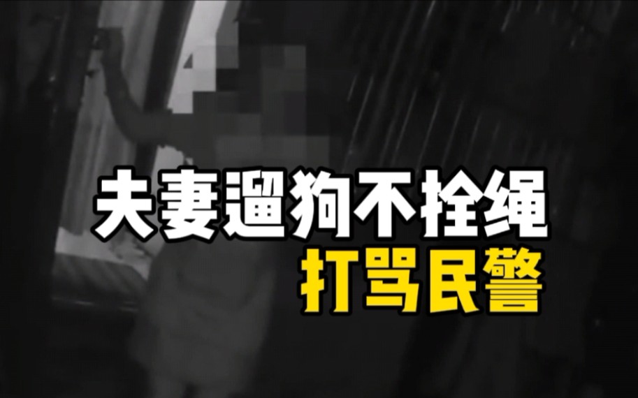 夫妻遛狗不拴绳打骂民警被刑拘