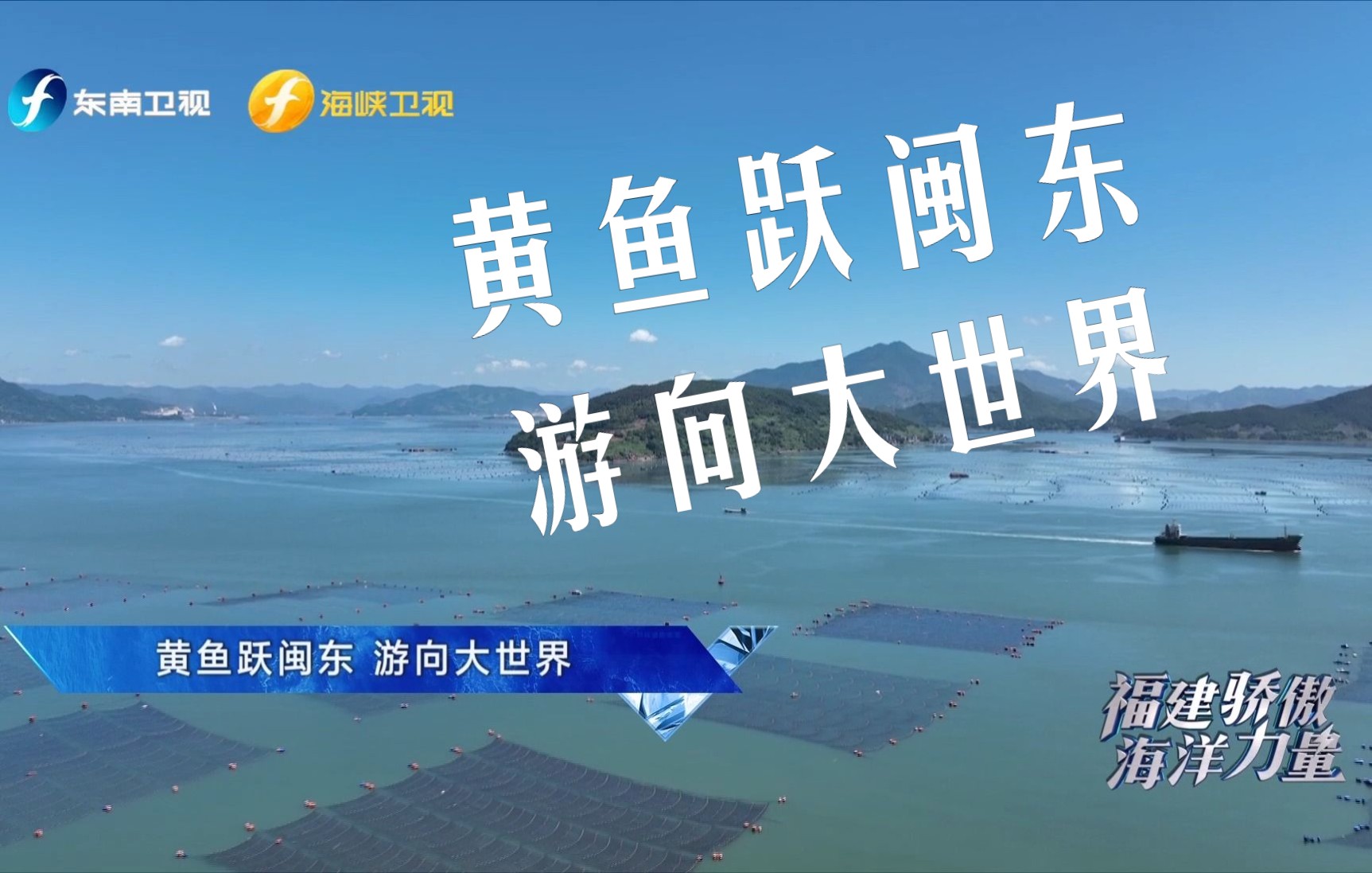 【福建骄傲海洋力量】第七集 黄鱼跃闽东，游向大世界