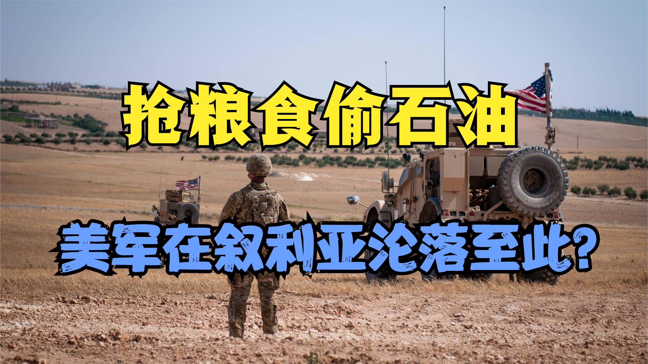 抢粮食偷石油，美军在叙利亚沦落至此？是我们把美国想的太好了