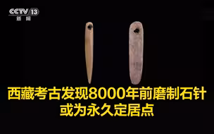 西藏考古发现8000年前磨制石针，或为永久定居点