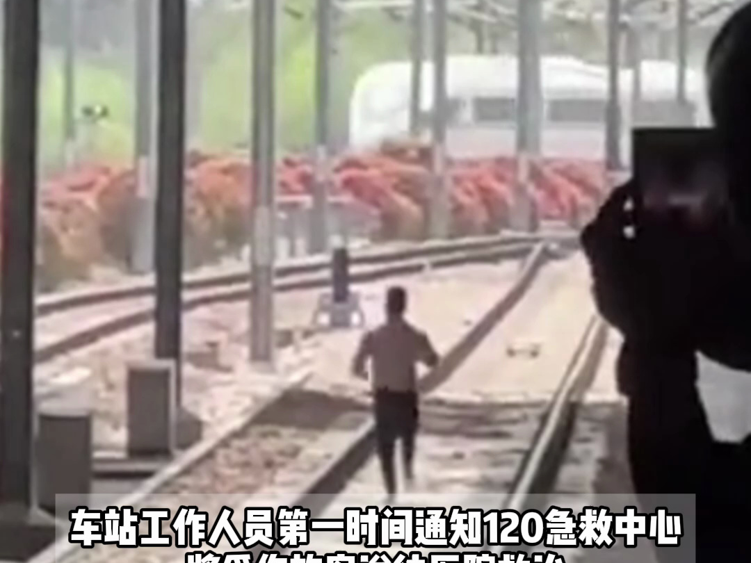 杭州东站一男子跳入轨道，与进站列车发生刮蹭。官方回应：男子已送医，列车已恢复正常