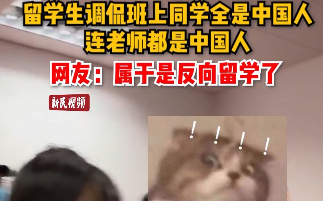留学生调侃班上同学全是中国人，网友：属于是反向留学了