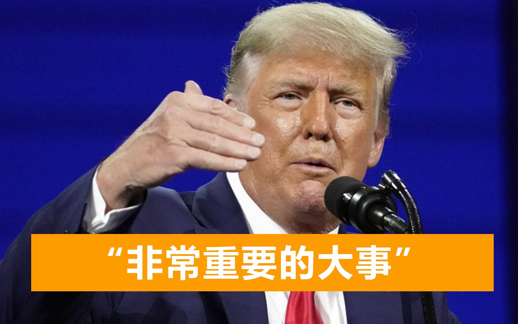 特朗普公开发表讲话，要从中国带回500只狗，强调“事情非常重要”