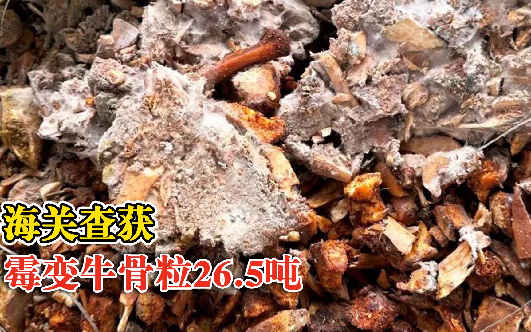 海关查获霉变牛骨粒26.5吨：属于国家禁止进口的洋垃圾