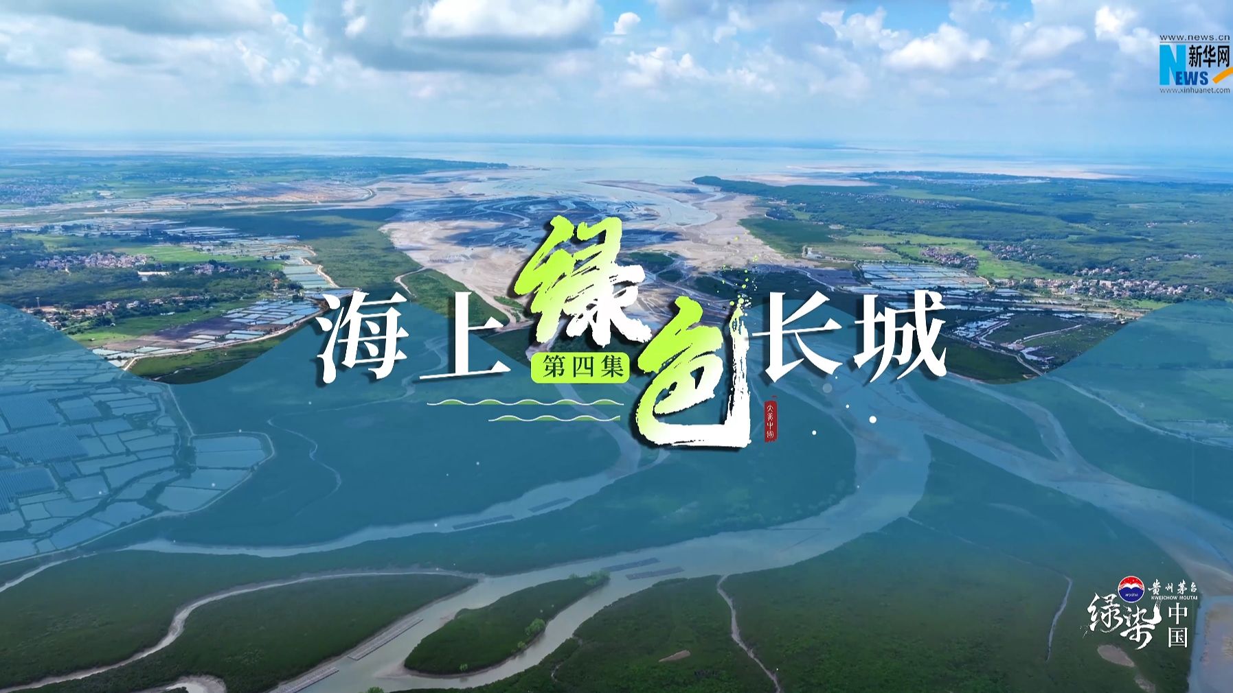 绿染中国 |海上绿色长城