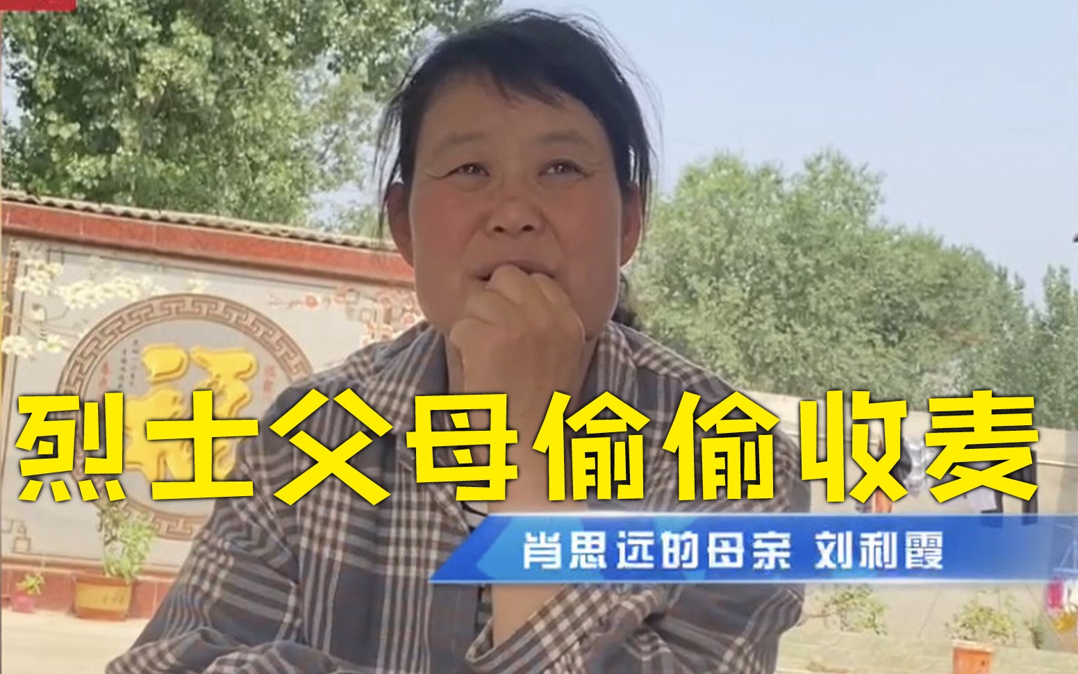 肖思远父母偷偷收麦 原因看哭网友