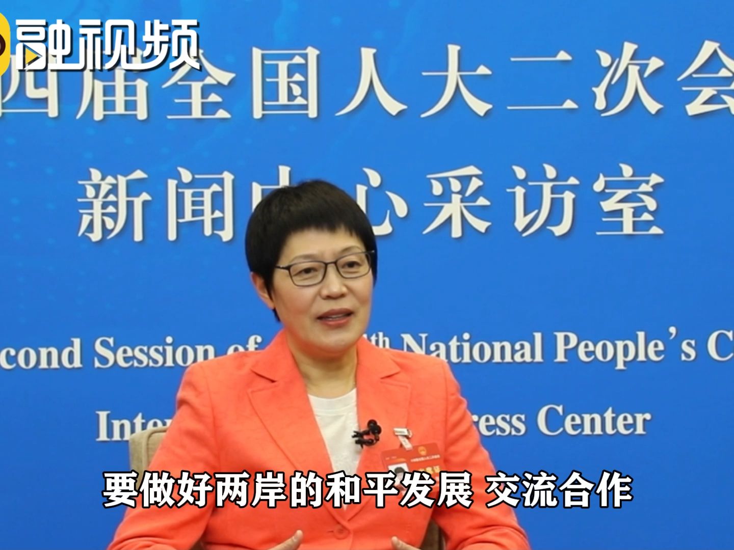 台湾省全国人大代表林青：两岸交流的未来在于青年