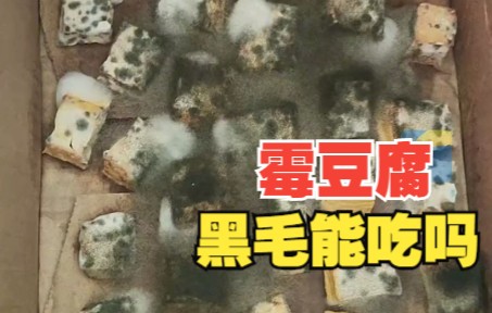 女子自制霉豆腐被网友提醒不能吃 “他们都不懂，我吃了几十年”