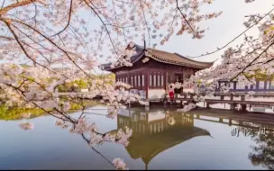 《最忆杭州》#杭州迎亚运风光片 明天是杭州亚运会倒计时100天，感受杭州风采。