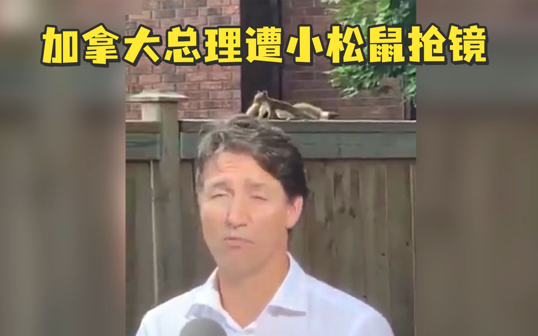 加拿大总理遭小松鼠抢镜