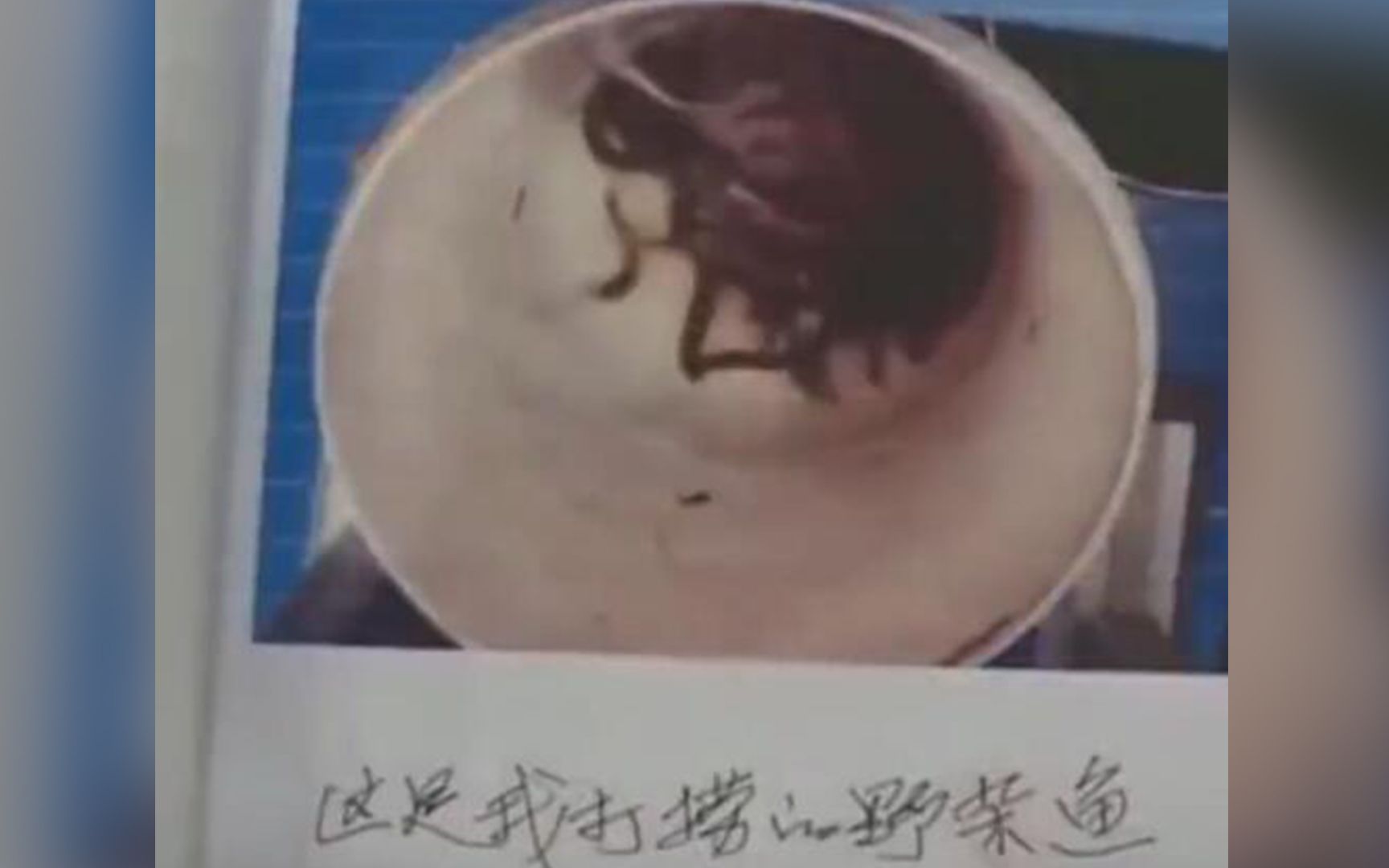 严打非法捕捞！长沙老人在湘江捕获0.8公斤水产 被判拘役